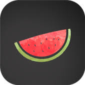 Melon VPN for Firestick