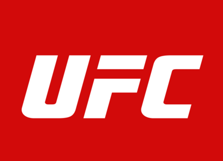 UFC on Firestick using VPN