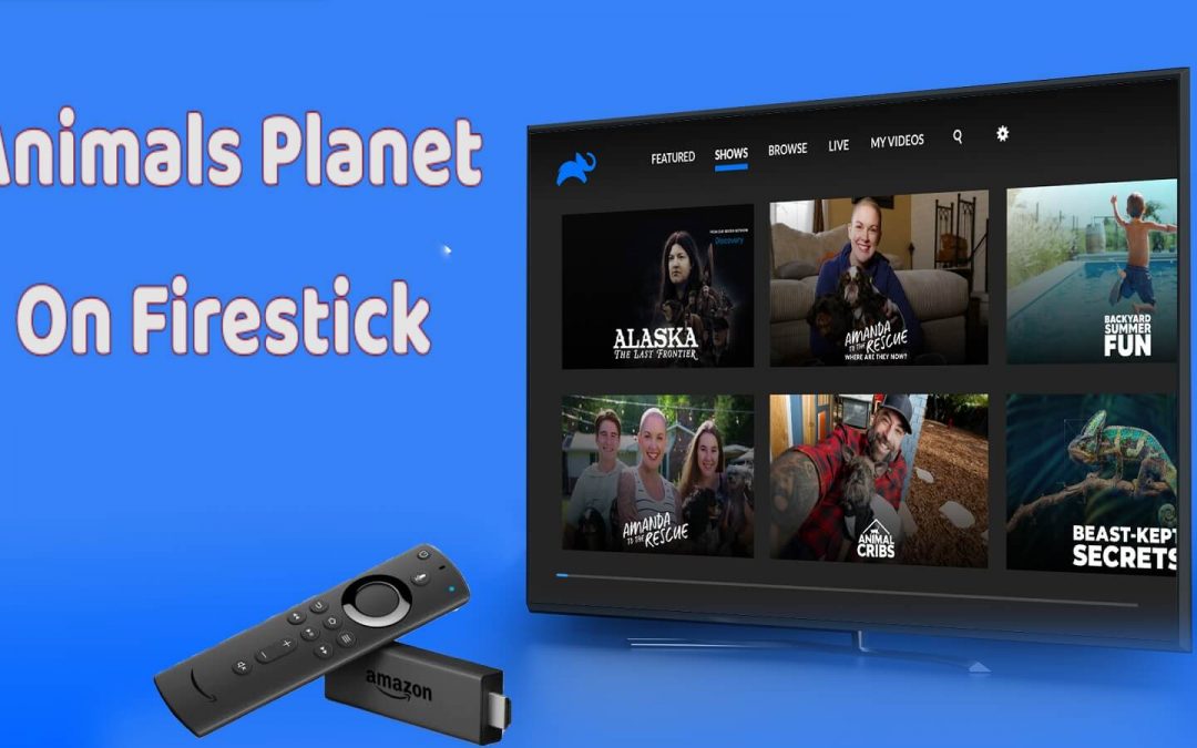 How to Watch Animal Planet on Firestick outside the US