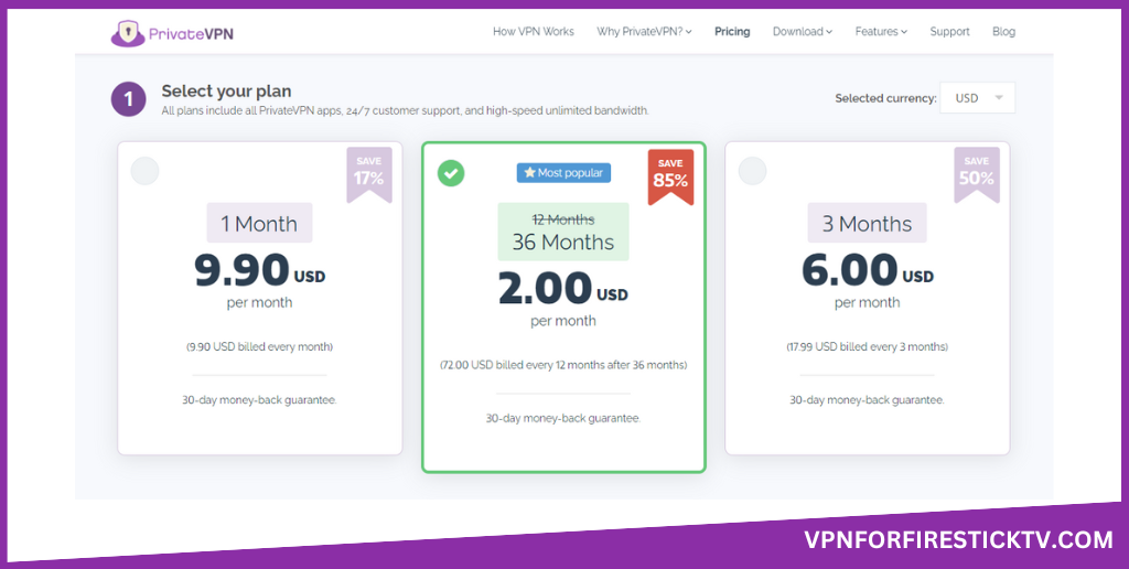 Choose any plan of your choice to subscribe to the PrivateVPN