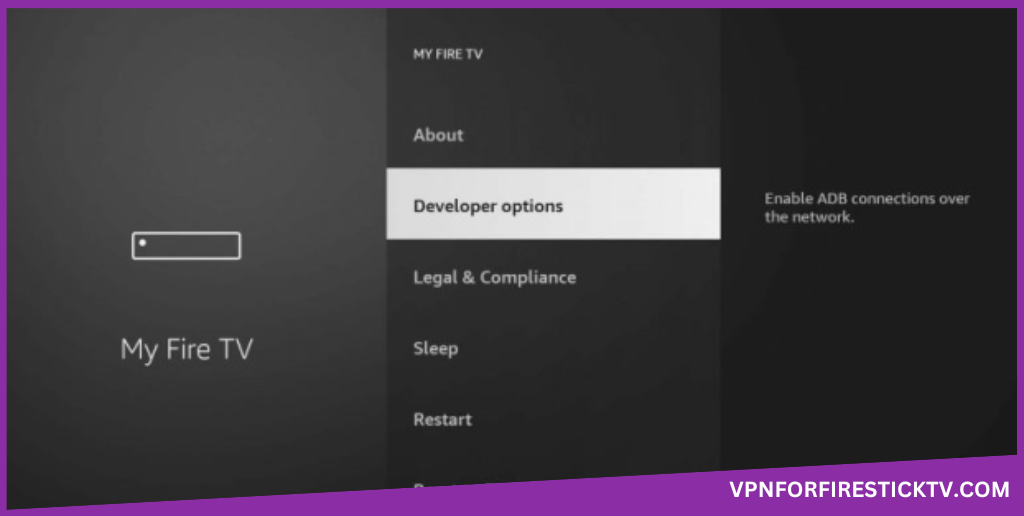 Select the Developer Options under the My Fire TV section