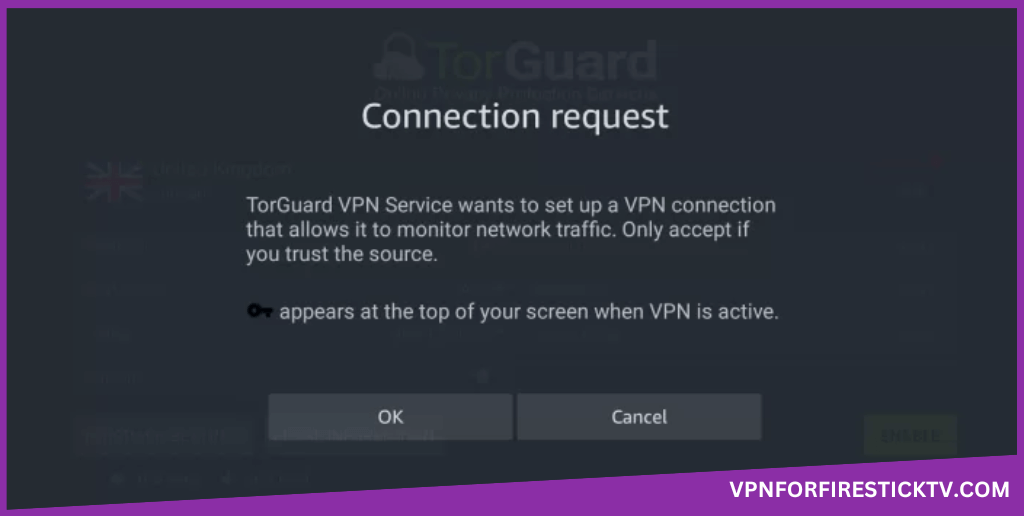 TorGuard VPN on Firestick- OK to Esatablish